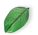 floating_leaf_01 https://communityrobobutler.com/wp-content/uploads/2025/07/floating_leaf_01.png